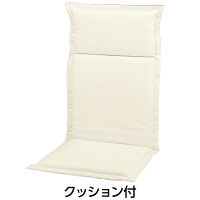 タカショー サリナチェア クッション付 NAR-290WPVN 1脚（直送品）