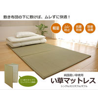 イケヒコ・コーポレーション い草マットレス 約100×210cm シングル 1110830011738 1枚