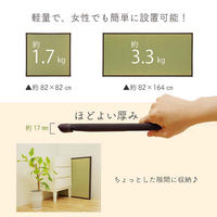 イケヒコ・コーポレーション 天竜 ブラウン 1畳 約82×164cm 1111250000000 1セット(3枚)