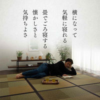 イケヒコ い草 置き畳 ユニット畳 和モダン 12枚組 『ニール』 ブラウン 約82×82×1.7cm 12P（直送品）