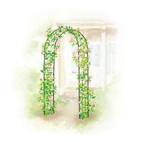 タカショー G-story クライミングアーチ リーフ GSTR-RC08 1個