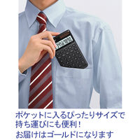 カシオ計算機 スタイリッシュ電卓大判手帳サイズ（ゴールド） NS-S10-GD-N