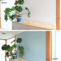 カラーワークス 室内壁用ペイント DCペイント ルーム クォート 1163 0.9L（直送品）