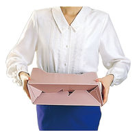 コクヨ ファイルボックス-FS　＜Hタイプ＞　A4ヨコ　 背幅102mm　 ピンク 　A4-LFH-P　 1セット（10冊）