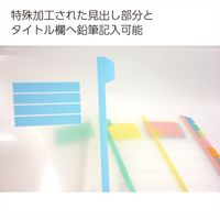 コクヨ　樹脂製カラー仕切カード（ファイル用）　A4タテ2穴　12山見出し　シキ-P100　1セット(25組)