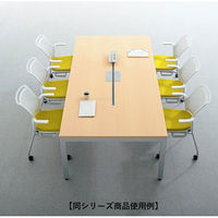 【組立設置込】プラス FV会議テーブル ホワイトメープル天板×ブラック脚 幅3200×奥行1200×高さ720mm FV-3212M WM/BK 1台（直送品）