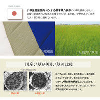 【車上渡し】SEKI い草健康チェア ブルー コンパクト 245069 1脚（直送品）