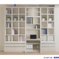 フナモコ NEW LATTICE（ニューラチス/ハイタイプシェルフ） レベッカオーク 幅1096×奥行297×高さ1800mm FBR-110T 1台（直送品）