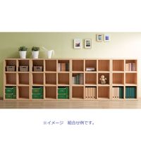 フナモコ NEW LATTICE （ニューラチス/ロータイプシェルフ） エリーゼアッシュ 幅743×奥行297×高さ1138mm FHA-75L 1台（直送品）