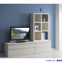 【軒先渡し】フナモコNEW LATTICE　ロータイプシェルフ　 リアルウォールナット 幅743×奥行297×高さ1138mm FHD-75L 1台（直送品）