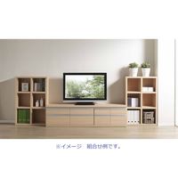 【軒先渡し】フナモコ NEW LATTICE 　ローチェスト　 エリーゼアッシュ 幅1096×奥行448×高さ476mm FLA-110S 1台（直送品）