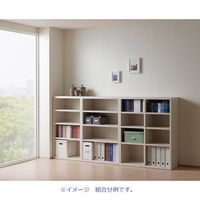 【軒先渡し】フナモコ LIVING SHELF  オープン板戸　 ホワイトウッド 幅600×奥行367×高さ1138mm LFS-60 1台（直送品）