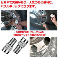 BAOLONG ダブルシールバルブキャップ(トラック用バルブキャップ)5本 TRVC12C-5 1セット（直送品）