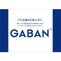 GABAN ギャバン ミル付き岩塩　詰め替え用袋 1セット（2個入） ハウス食品
