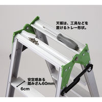 長谷川工業 エコはしご兼用脚立 エコマーク認定脚立 3段 ESA2.0-09 1台
