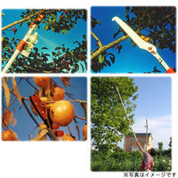 アイガーツール スプレー缶付き高枝切りハサミ 3M 1830 1個