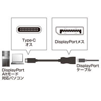 サンワサプライ USB Type C-DisplayPort変換アダプタ AD-ALCDP01 1個