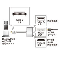 サンワサプライ USB Type C-HDMIマルチ変換アダプタプラス AD-ALCMHDP01 1個