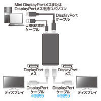 サンワサプライ DisplayPort MSTハブ（DisplayPort×2） AD-MST2DP 1個（直送品）