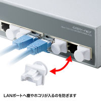 サンワサプライ RJ-45ダストカバー ADT-RJDST2 1セット(10個入)