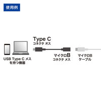 サンワサプライ Type C USB2.0microB変換アダプタケーブル AD-USB25CMCB 1本
