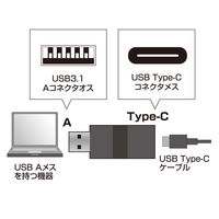 サンワサプライ 変換アダプタ USB3.1 Aオス - USB Type-Cメス（USB3.1 Gen2） ブラック AD-USB29CFA 1本（直送品）