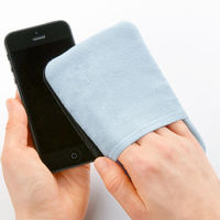 サンワサプライ ディスプレイクリーニングパッド（大） CD-CC24BL 1個（直送品）