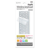 【処分品】サンワサプライ シリコンキーボードカバー（Apple Wireless keyboard用） FA-SMAC2 1枚（直送品）