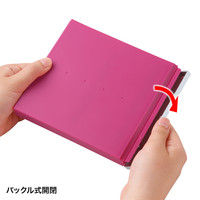 サンワサプライ ブルーレイディスク対応ポータブルハードケース(8枚収納・ピンク) FCD-JKBD8P 1個（直送品）