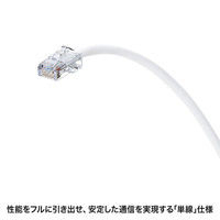 サンワサプライ 抗菌CAT5eLANケーブル 5m ホワイト KB-T5KK-05W（直送品）