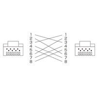 サンワサプライ カテゴリ6UTPクロスケーブル 30m ライトグレー KB-T6L-30CK（直送品）