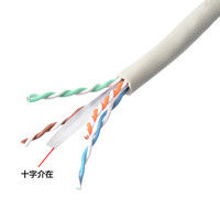 サンワサプライ カテゴリ6UTP単線ケーブルのみ 300m ライトグレー KB-T6L-CB300N（直送品）