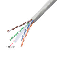 サンワサプライ PoEカテゴリ6LANケーブルのみ200m KB-T6POE-CB200 1個（直送品）