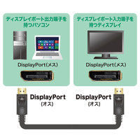 サンワサプライ DisplayPortケーブル 3m KC-DP3GK 1本（直送品）