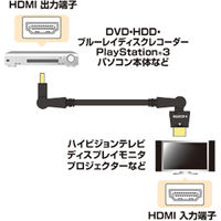 サンワサプライ イーサネット対応ハイスピードHDMI 3Dケーブル KM-HD20-3D10 1本（直送品）