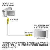 サンワサプライ ビデオケーブル KM-V6-50K2 1本（直送品）