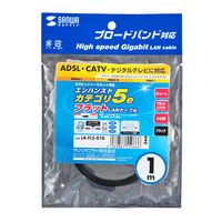 サンワサプライ カテゴリ5撚線フラットケーブル1m LA-FL5-01K 1本