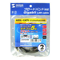 サンワサプライ カテゴリ5撚線フラットケーブル2m LA-FL5-02K 1本