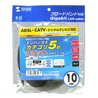 サンワサプライ カテゴリ5撚線フラットケーブル10m LA-FL5-10K 1本