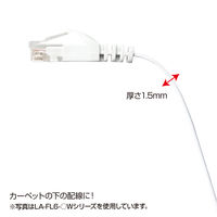 サンワサプライ カテゴリ6フラットLANケーブル LA-FL6-02BL 1本