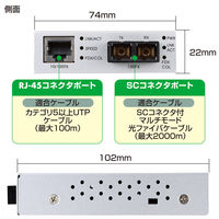サンワサプライ 光メディアコンバータ LAN-EC202C 1個（直送品）