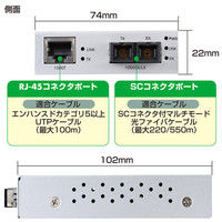 サンワサプライ 光メディアコンバータ LAN-EC212C 1個（直送品）