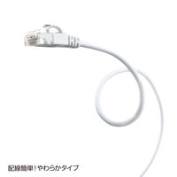 サンワサプライ カテゴリ6極細LANケーブル LA-SL6-01W 1本
