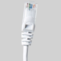 サンワサプライ カテゴリ6UTP LANケーブル LA-Y6-02W 1本