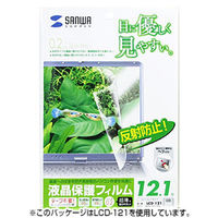 サンワサプライ 液晶保護フィルム(10.1型ワイド) LCD-101W 1個