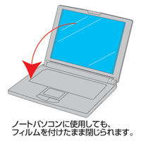 サンワサプライ 液晶保護フィルム LCD-156W 1個