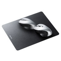 サンワサプライ ハードマウスパッド MPD-NS3-L 1個