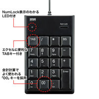 サンワサプライ USBテンキー NT-16UBKN 1個