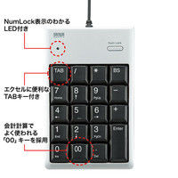 サンワサプライ USBテンキー 簡易パッケージ 有線 うす型メンブレン シルバー NT-16UPKN 1個（直送品）