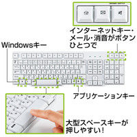 サンワサプライ PS/2キーボード SKB-L1 1個（直送品）